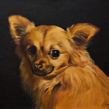 Portrait des Hundes